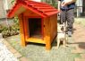 子犬のうちは、犬小屋をよく噛みます。でも厚板であれば大丈夫。しっ... 柴犬の犬小屋(厚板タイプキット)